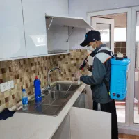 سمپاشی تخصصی حشرات و جوندگان