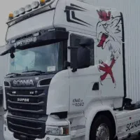 اسکانیا ( تسهیلات دولتی در کشنده های چینی اروپایی)