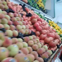 واگزاری مغازه میوه فروشی|اجارهٔ مغازه و غرفه|مشهد, رده|دیوار