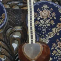 ساز تار ایرانی|سازهای سنتی|هشتگرد, شهرک بعثت|دیوار