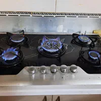 تعمیرآبگرمکن گازی وبرقی،پکیج، اجاق گاز سراسر شیراز|خدمات پیشه و مهارت|شیراز, عفیفآباد|دیوار