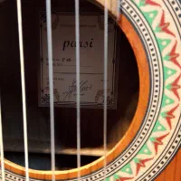 پارسیP40قیمت خرید با کاور|گیتار، بیس، امپلیفایر|شیراز, باغ تخت|دیوار