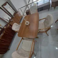 سرویس غذاخوری موریانی