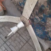 ۳عدد پنک سقفی