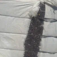 کرک دوبار هلاجی