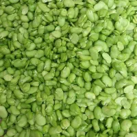 باقلا سبز پاک شده