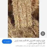 یک نیسان شالی برنج