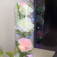 باکس گل رز