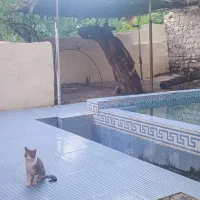 اجاره روزانه ویلا استخر دار با آب روان دائم سیرچ