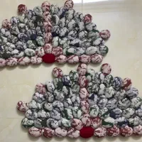 مدل های   جدید|پادری|مشهد, آیت الله کاشانی|دیوار