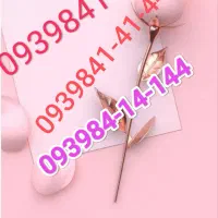 سیم‌کارت رند و طلایی ایرانسل ۰۹۳۹۸۴۱۴۱۴۴