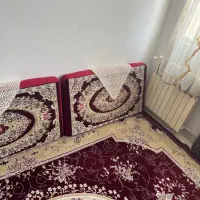 پشتی|پشتی|فردیس, شهرک ارم|دیوار