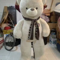 عروسک خرسی|اسباب‌‌بازی|باسمنج, |دیوار