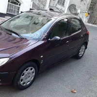 206 تیپ 2 ، سالم سرحال