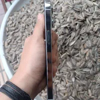 iphone 13 pro max|موبایل|شهر ری, علایین|دیوار