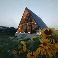 راهنمایی برای ازدواج