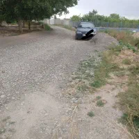 باغ در شبستر