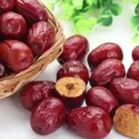 عناب مرغوب و درشت بیرجند|خوردنی و آشامیدنی|تهران, ابوذر|دیوار