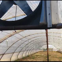 گلخانه|ماشینآلات صنعتی|فیروزه, |دیوار