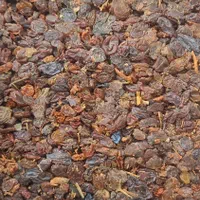 دنیایی کشمش