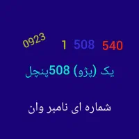 شماره های منحصربفرد رایتل