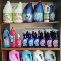 پخش عمده شوینده موژان سروش