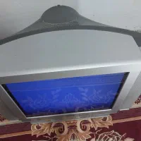 تلویزیون