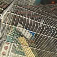 تعدادی قفس بزرگ به فروش میرسد