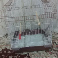 قفس پرنده