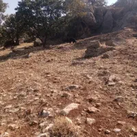 بره معامله میکنم با بز
