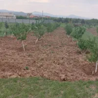 فروش باغ ۲۰۰۰ متری|فروش آپارتمان|قزوین, |دیوار