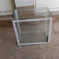 اکواریوم