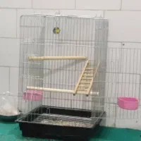 پشتی|پشتی|یزد, |دیوار