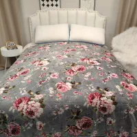 فروش پتو مسافرتی لوازم آشپزخانه اقساطی|رختخواب، بالش، پتو|بیجار, |دیوار