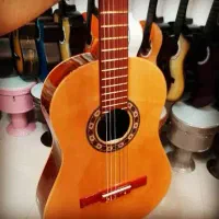 گیتار رزونانس h320