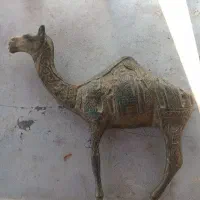 مجسمه شتر