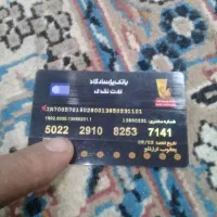 پیدا شده