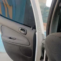 206 اس دی|خودرو سواری و وانت|شیراز, آبیاری|دیوار