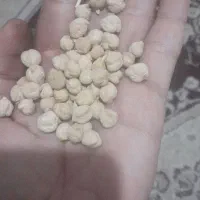 فروش نخود