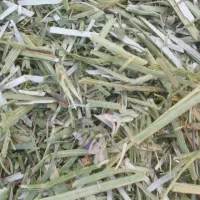 فروش یونجه اسپرس در جه یک|حیوانات مزرعه|بروجن, |دیوار