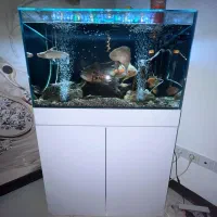 فروش اکواریوم