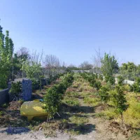 فروش باغ1000متری دور دیوار دارای انواع درخت میوه