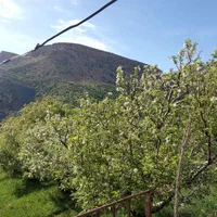 خانه ویلایی در باغ|اجارهٔ کوتاه‌مدت ویلا و باغ|یاسوج, |دیوار