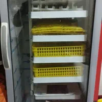 دستگاه جوجه کشی ۱۶۸تا