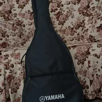 گیتار کلاسیک|گیتار، بیس، امپلیفایر|سبزوار, قائم|دیوار