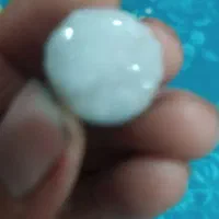 نگین شجر گل یخی