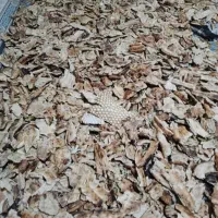 نان خشک تمیز درجه یک تحویلی قم خشک کبریتی