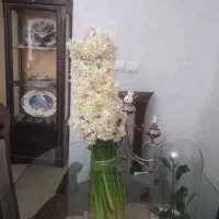 میزناهار خوری در حد|میز و صندلی غذاخوری|تهران, میرداماد|دیوار