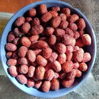 عناب تازه درجه یک|خوردنی و آشامیدنی|فولادشهر, B2|دیوار