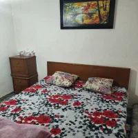 سویت دربست بهترین لوکیشن|اجارهٔ کوتاه‌مدت آپارتمان و سوئیت|بجنورد, |دیوار